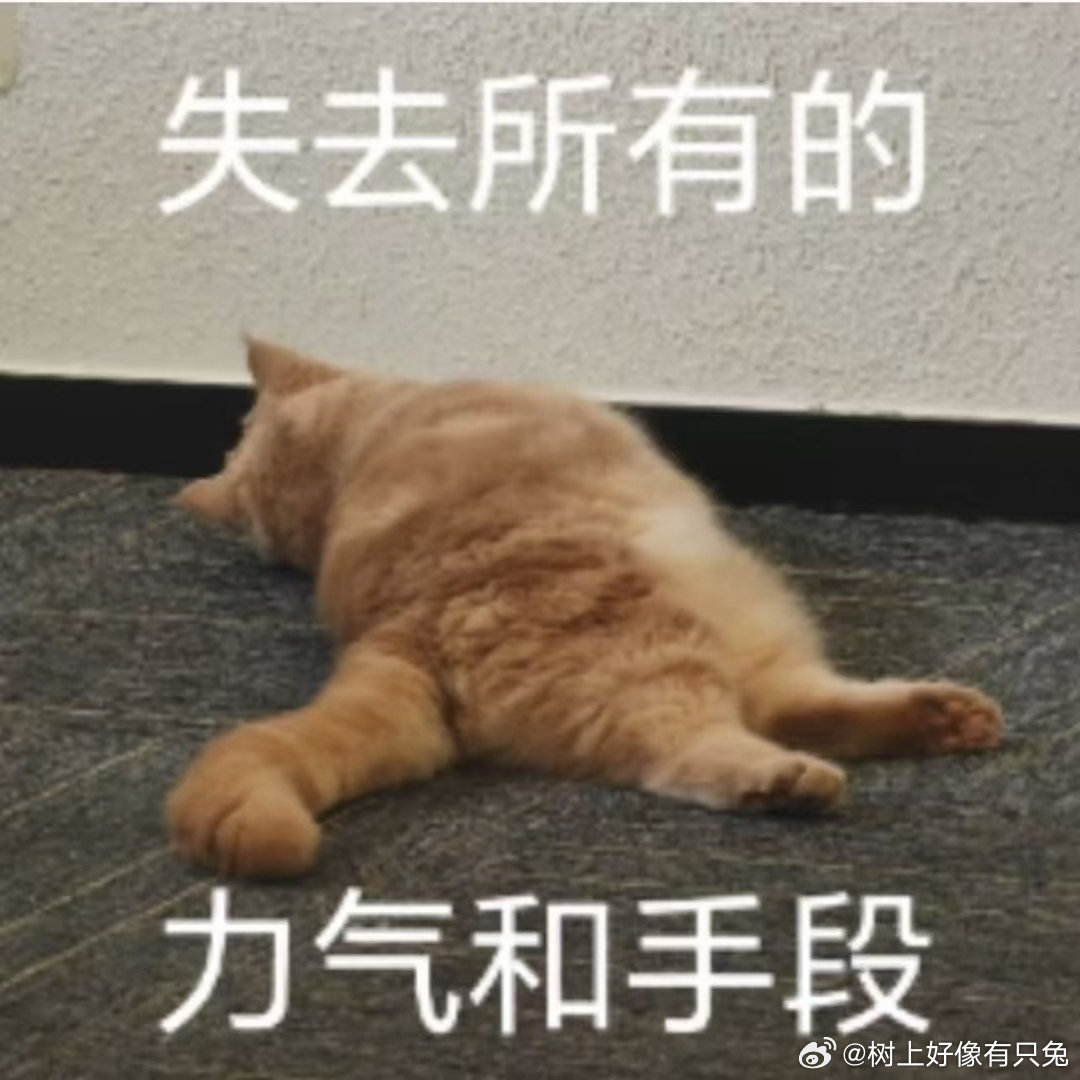 头一次见把优点全穿出来的这套搭配直接戳中审美，完美放大自身所有闪光点。收腰下摆优