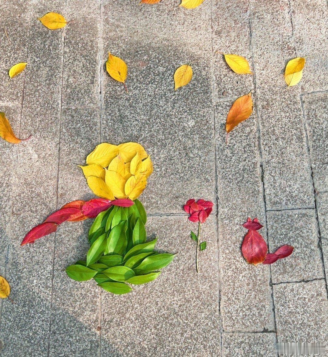 在路边邂逅了小王子和他的玫瑰🥀 