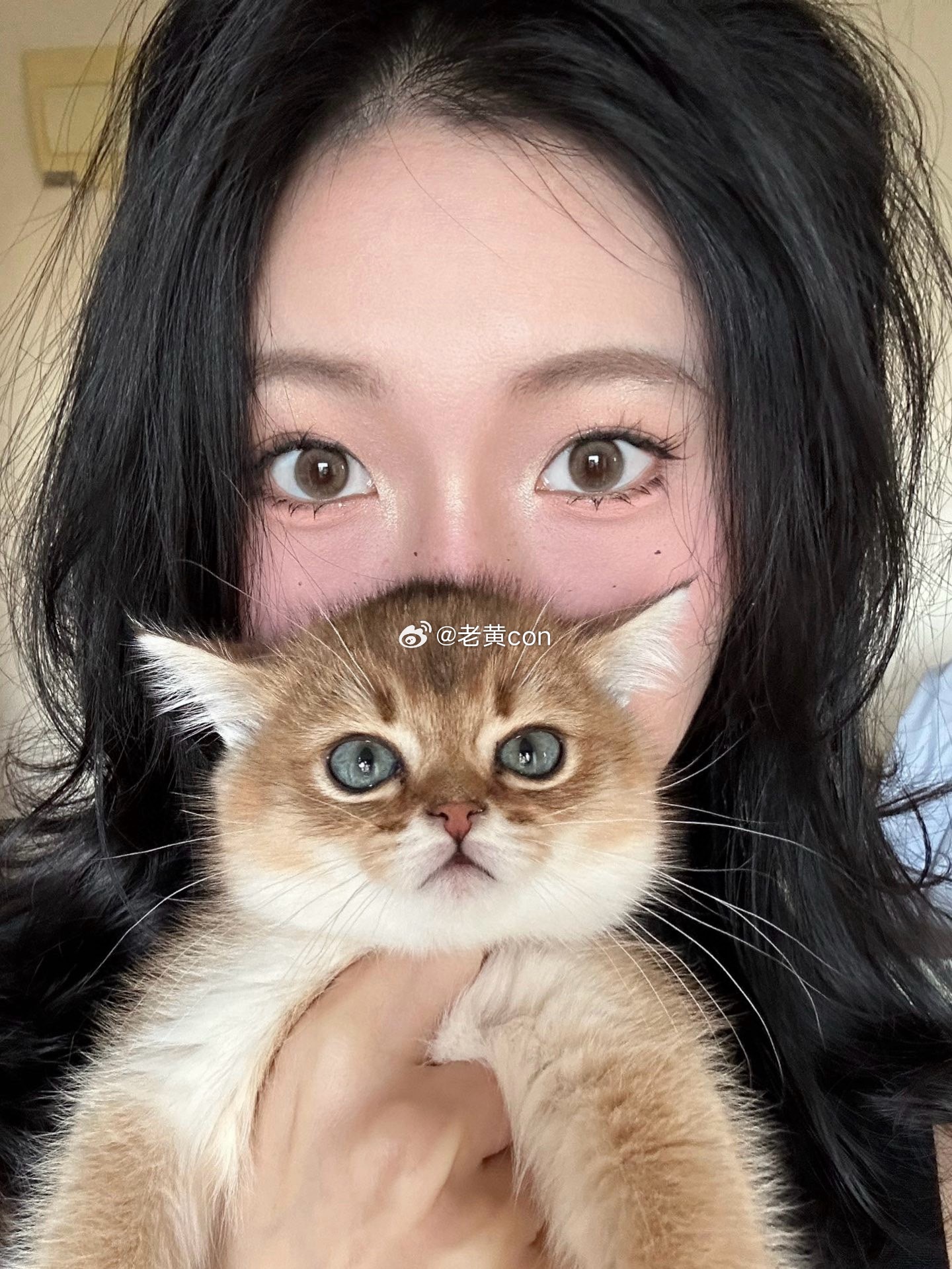 确认了!！浅瞳天菜… 