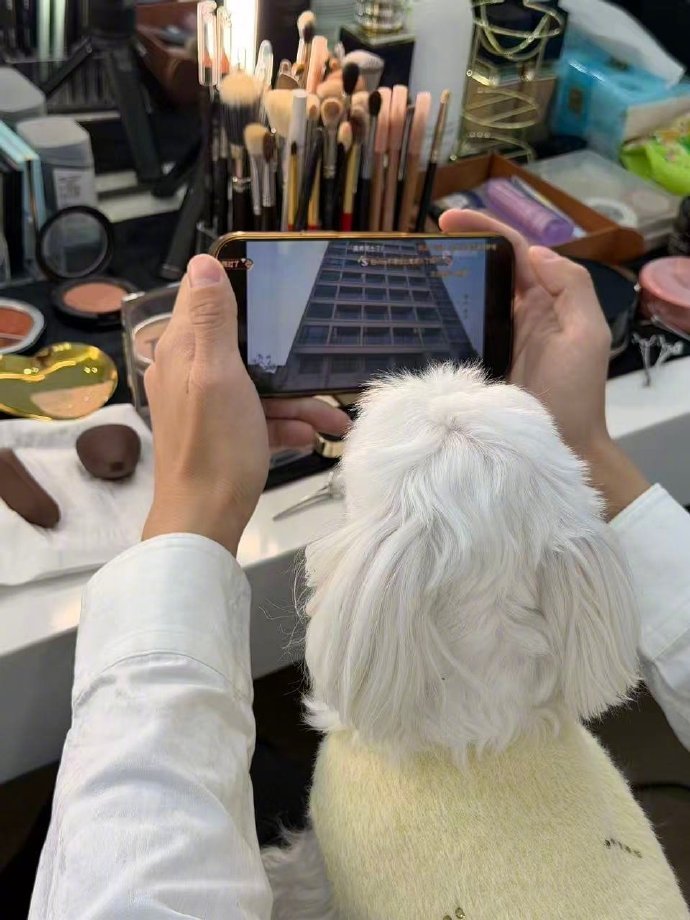 彭昱畅的追剧搭子是小狗 哈哈哈哈哈萌化我了！彭昱畅的追剧搭子是小狗，一人一狗追《