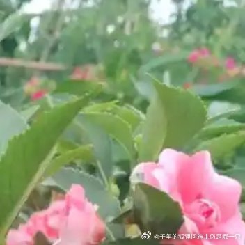 每日一善[超话]❤️每日一善 ❤️阳光信用 ​山有顶峰，湖有彼岸，在人生漫漫长途