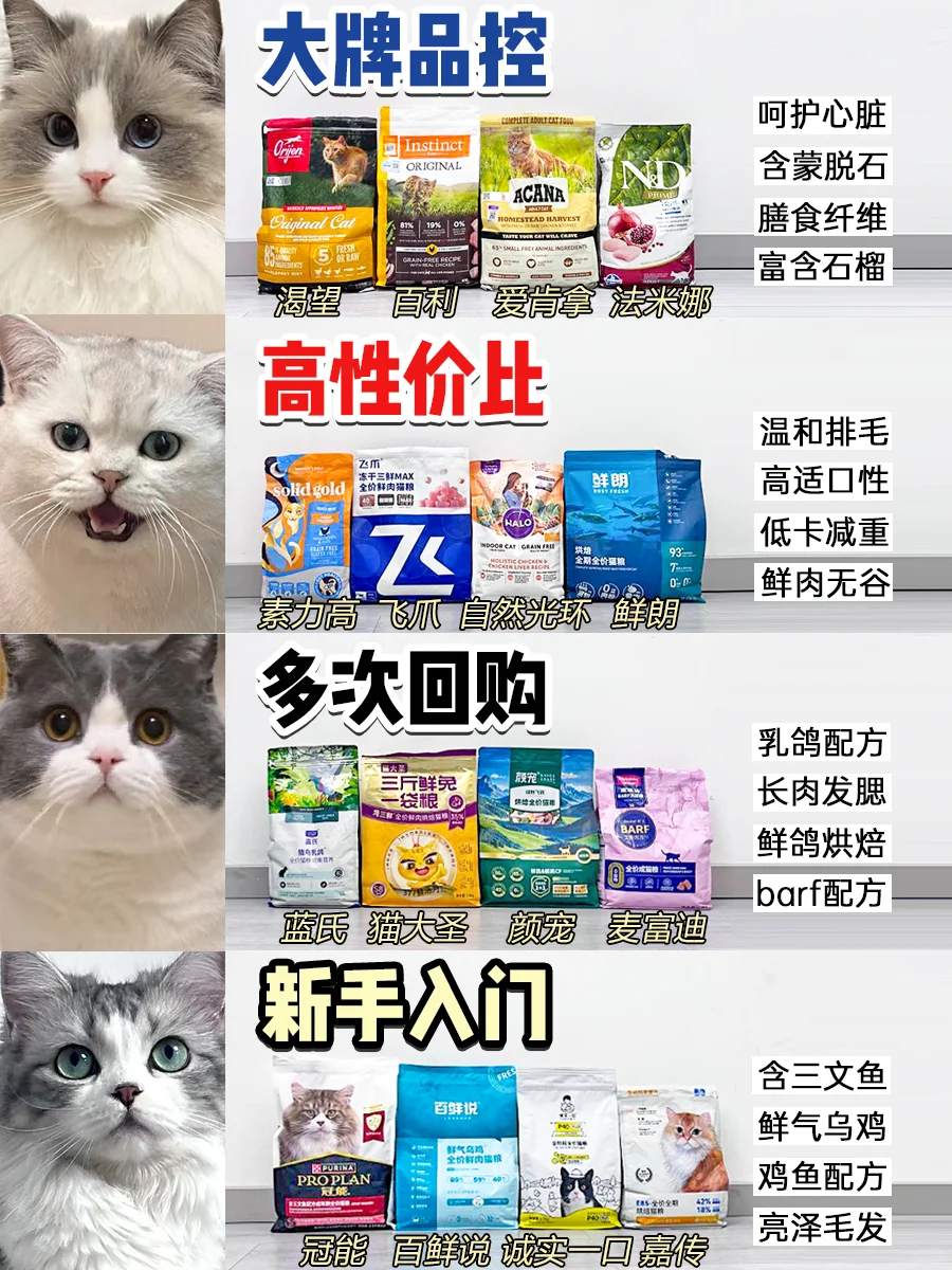 打工人养猫看过来！神仙高性价比猫粮推荐！