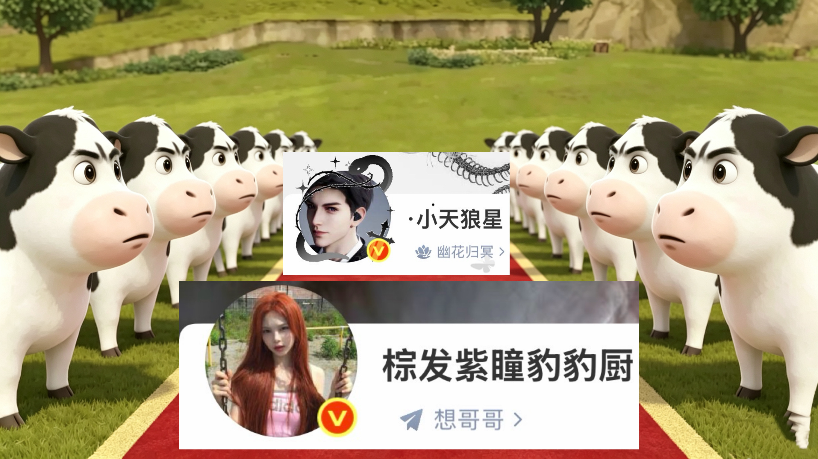 所有牛，列队！ 