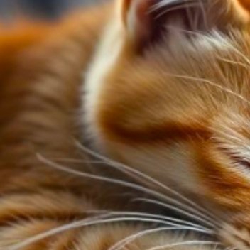 充足睡眠+坚持训练=无限可能，晚安。 