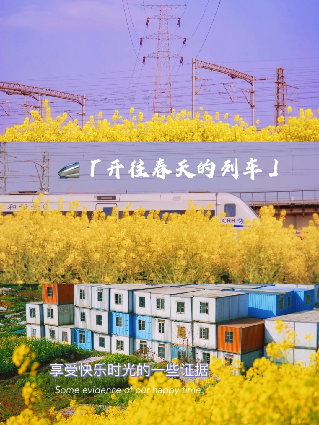 “开往春天的列车”就在成都三环内可赏，绝美
