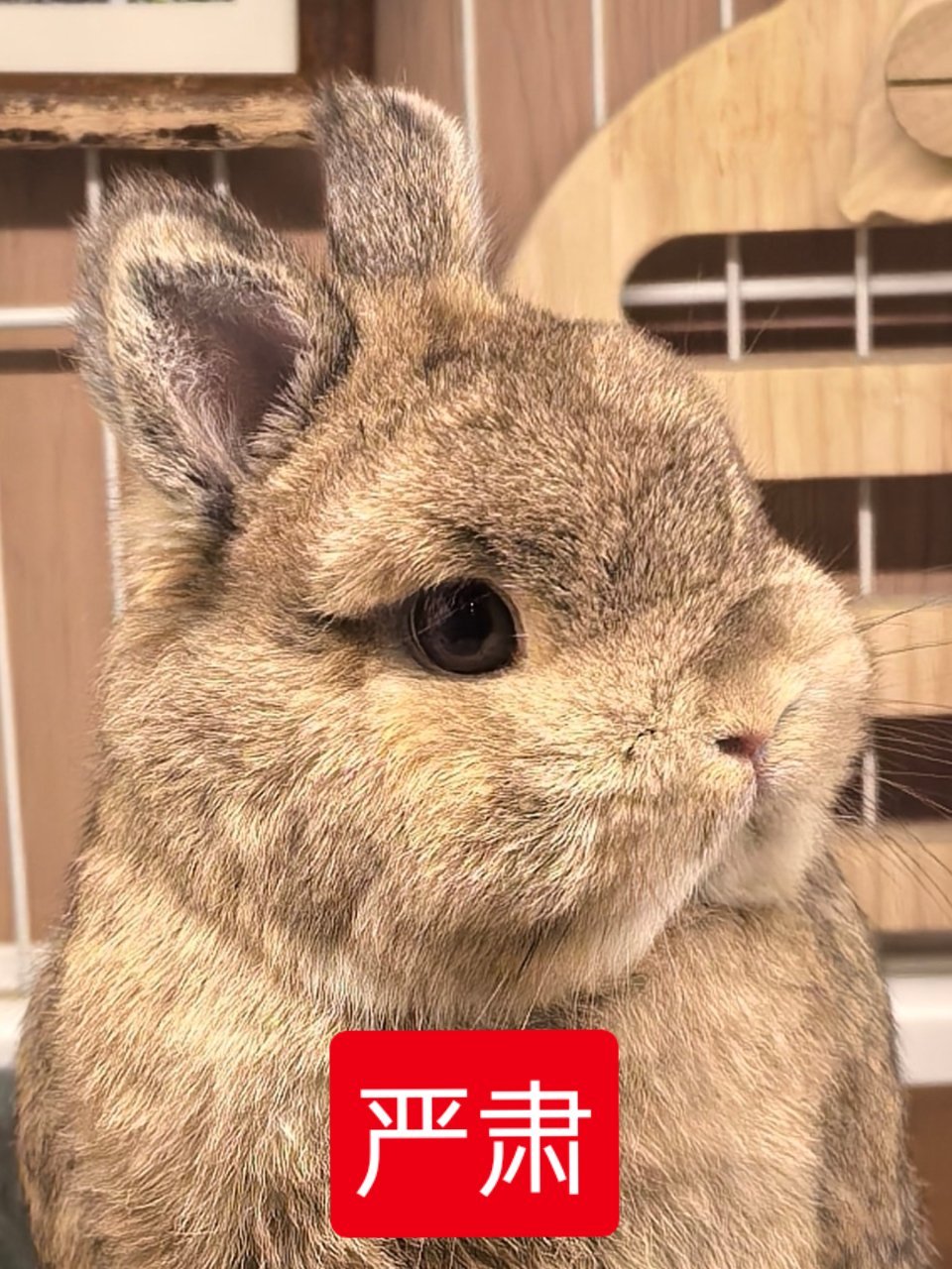 吸取昨晚的教训，我他爹的今晚一定早睡！ 