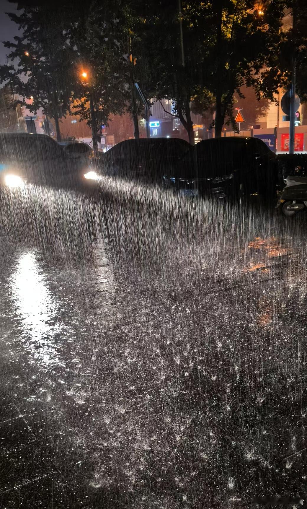 下了一夜雨 