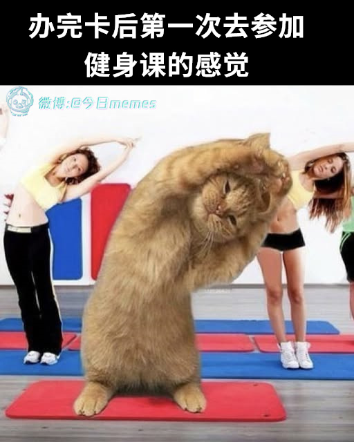 跟得上（9gag）今日meme今日memes