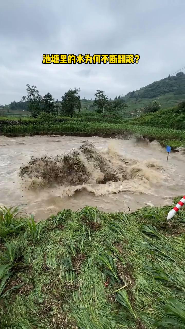 池塘里的水为何不断翻滚？