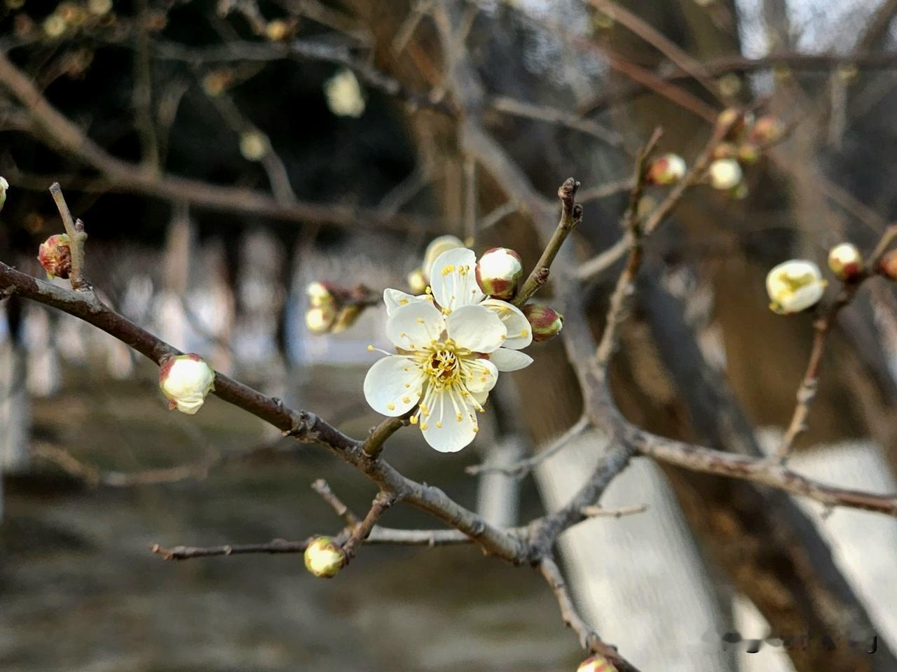 如果2.0t增程器未来真的成为了一种主流。那对一台越野车来说。他其实可以有无限的