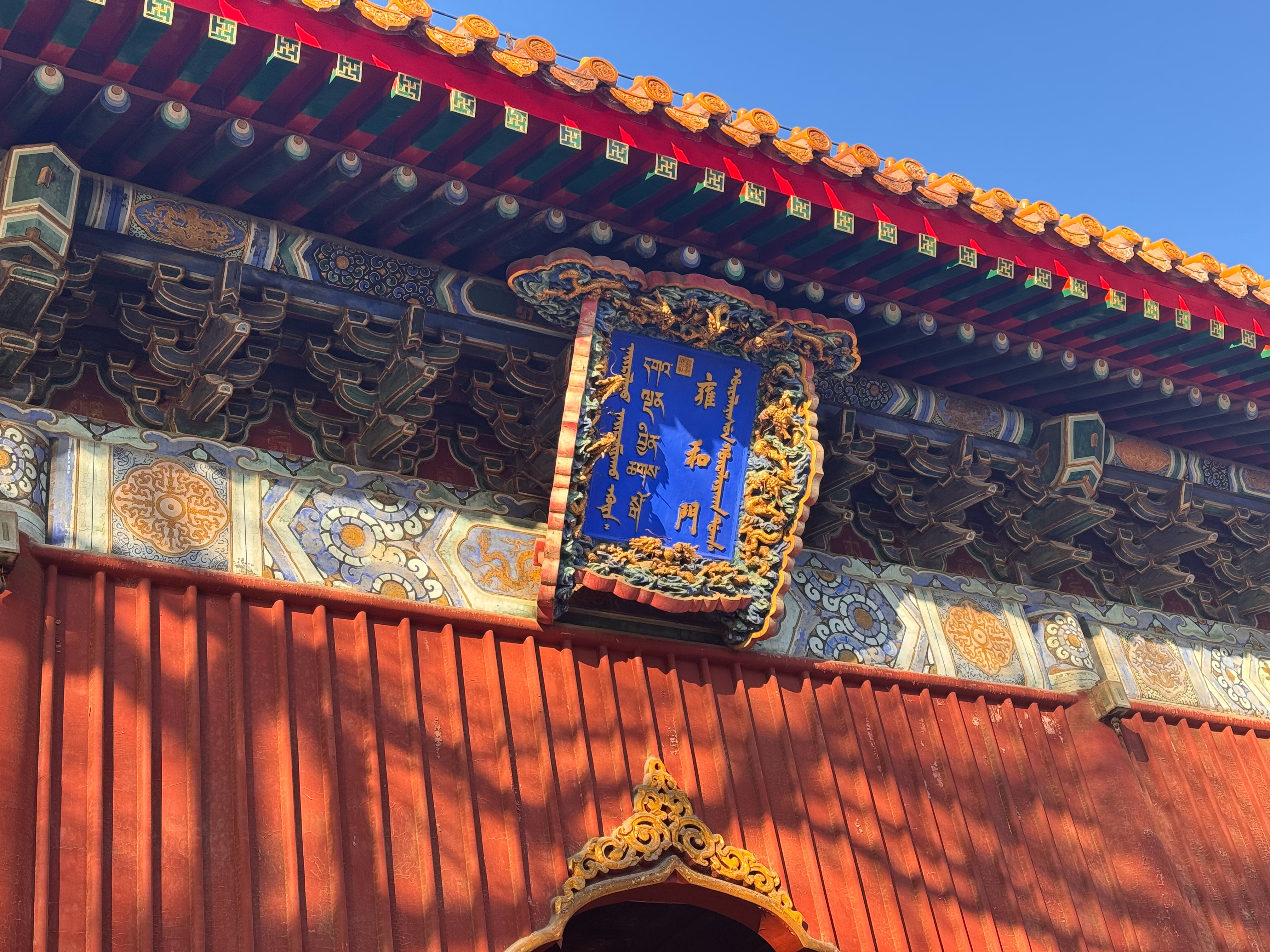 龙补蛇裙，早香赶不上赶晚香～ 🙏 