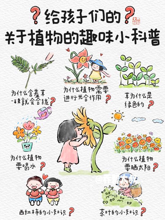 植物小知识，给孩子的趣味小科普