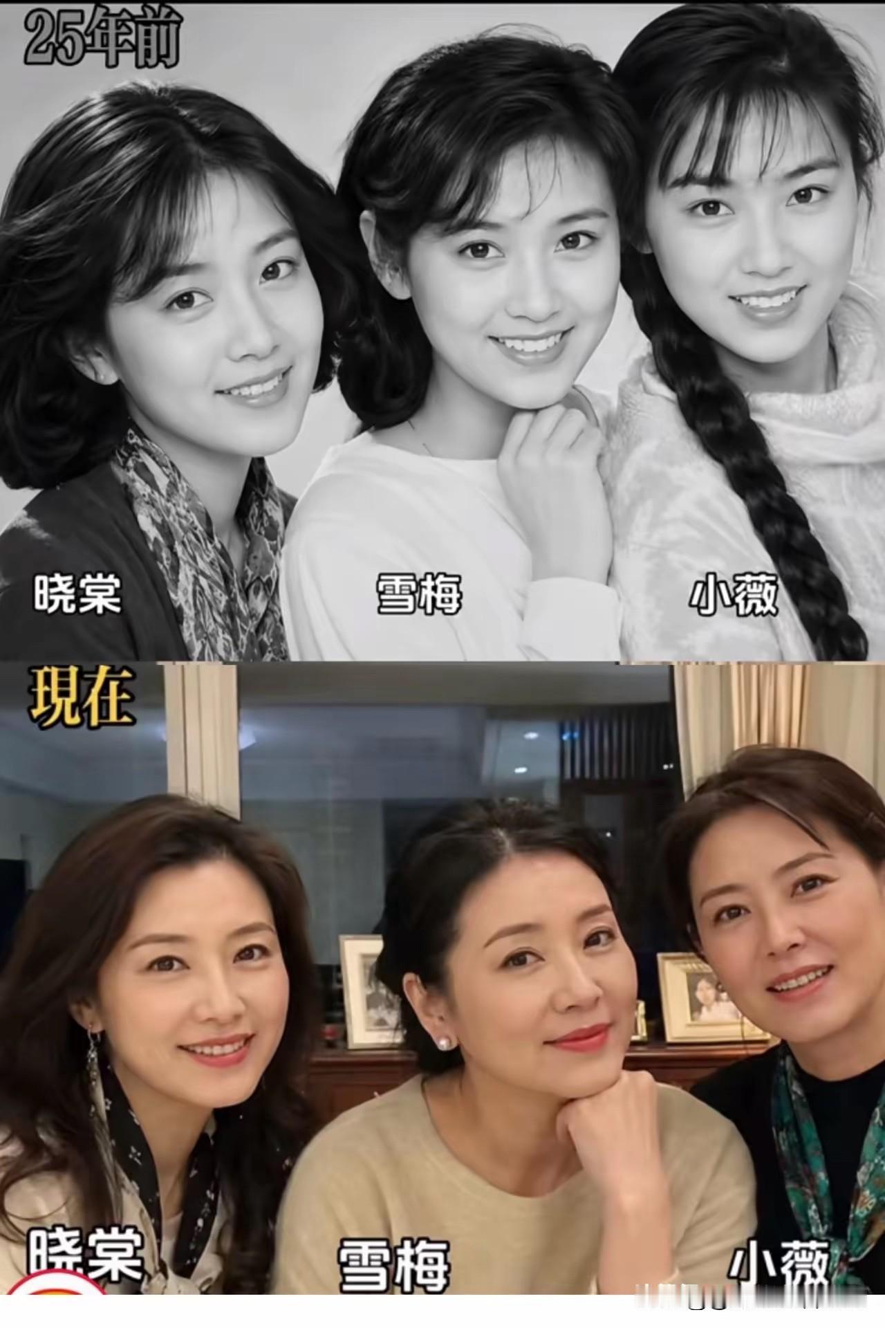 25年前青涩，单纯，天真。
25年后成熟，靓丽，更有风韵。