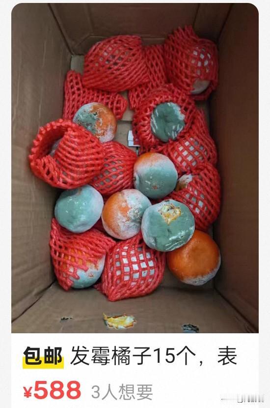 是我孤陋寡闻了，发霉的橘子居然能卖钱！青霉、绿霉、只要有霉斑，转眼就变成了香饽饽