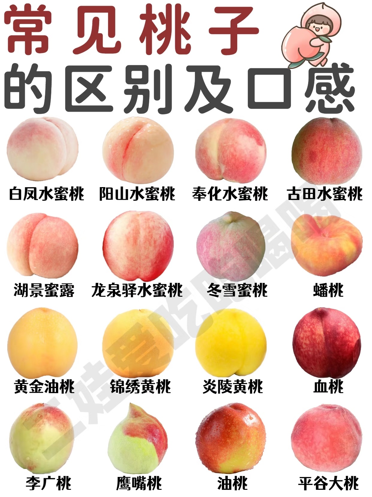 吃桃子也有南北方差异桃子的种类好多的，在我这里没有南北差异，除了那种表皮有毛毛的