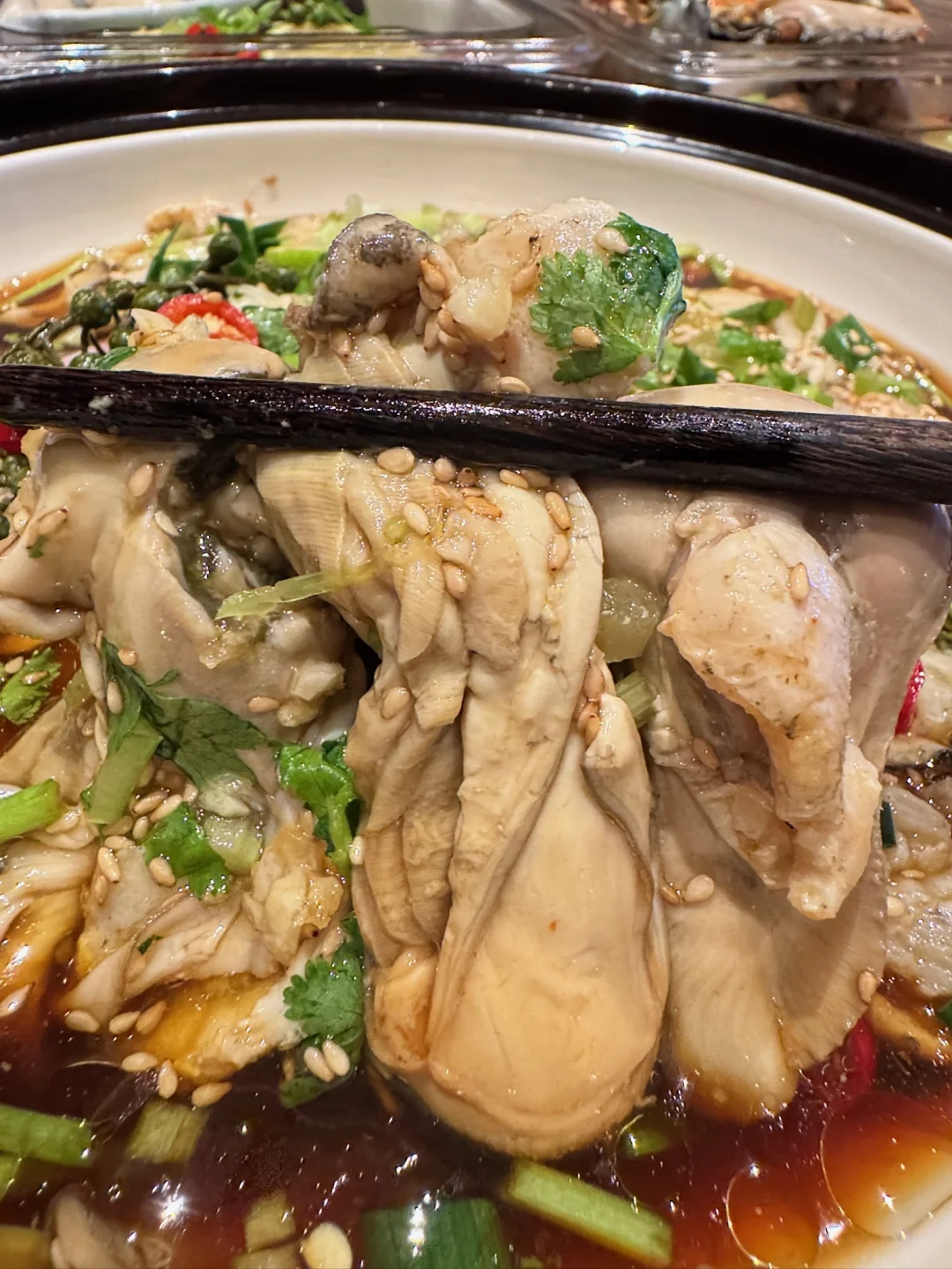 是吃生蚝🦪的一天