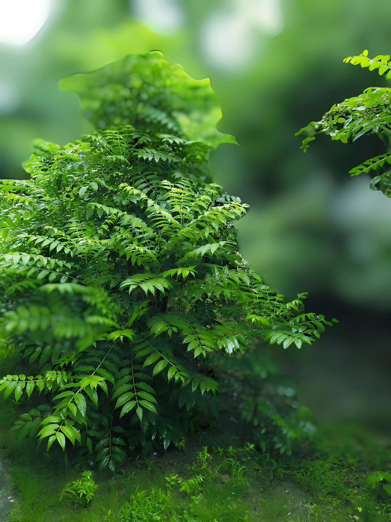 全域焕新“心态对了，路就顺了；心情美了，日子就甜了。”这话一点不假。就像如今智赋