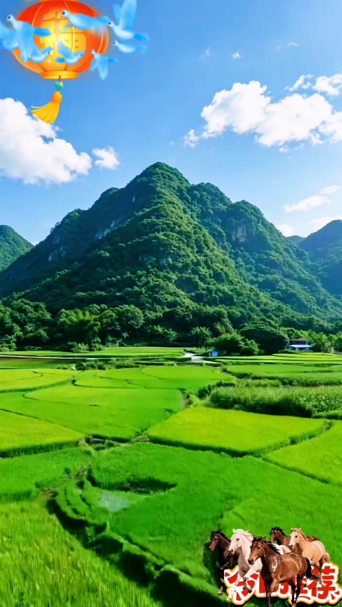 御伞山风景。
御伞山，彩推荐。