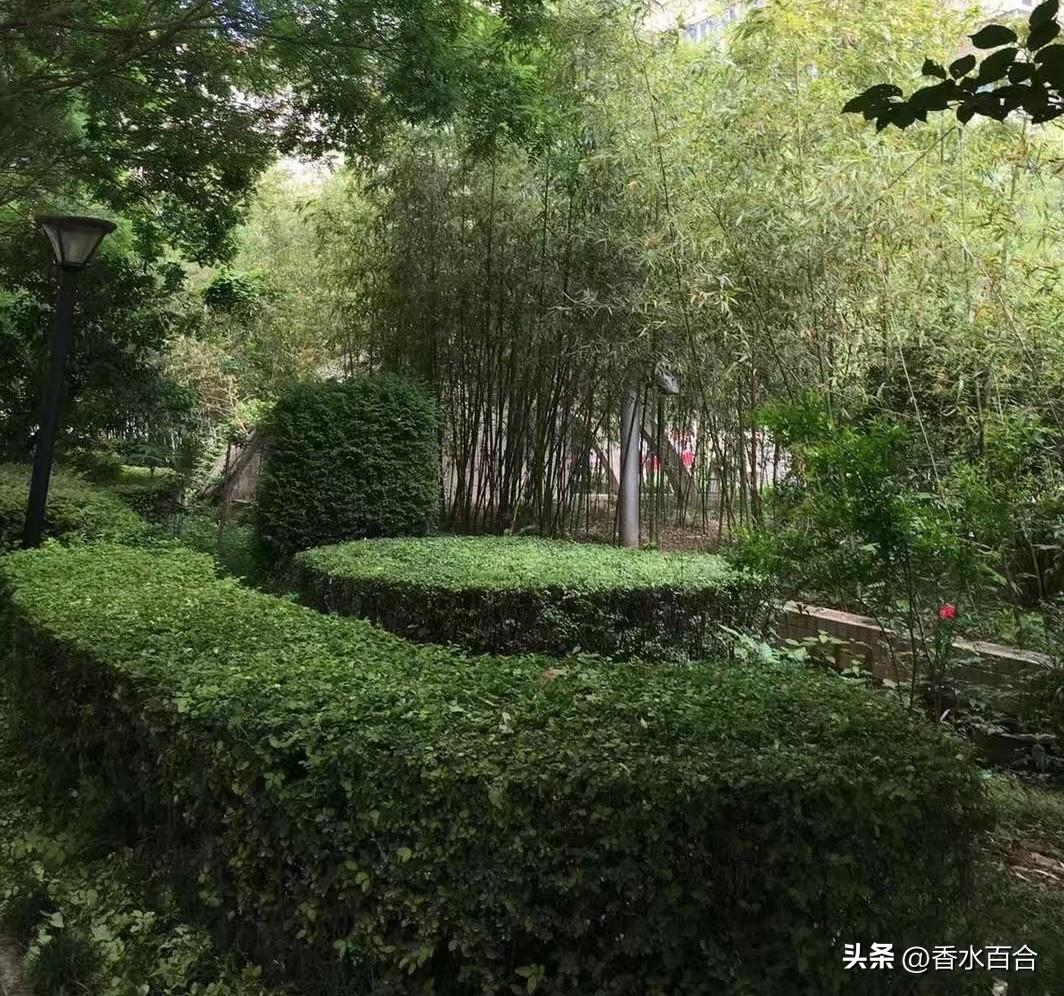 陌生人进了小区，楼上楼下挨家挨户敲门。

7月29日，婆婆说昨下午有人来家里敲门