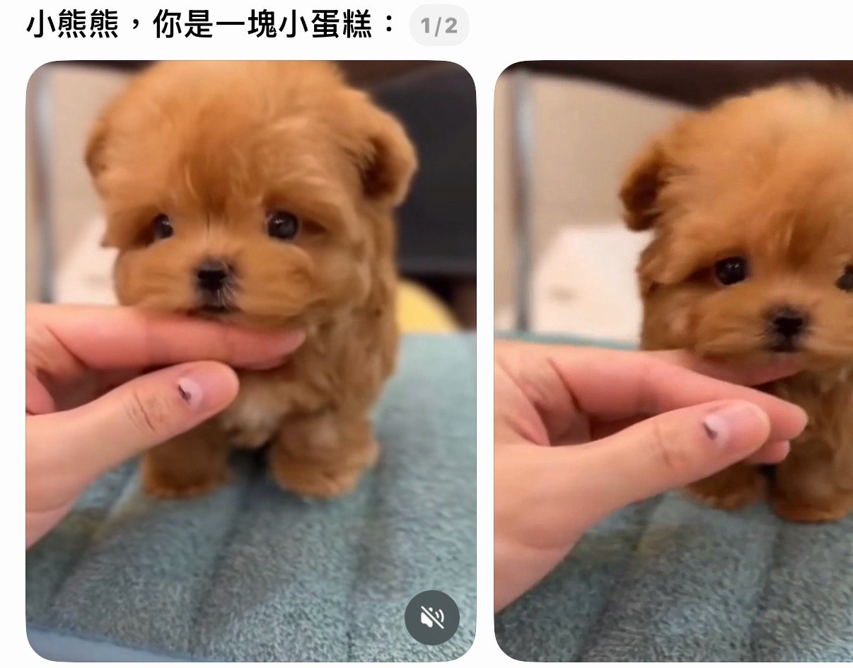 这是崔杋圭 