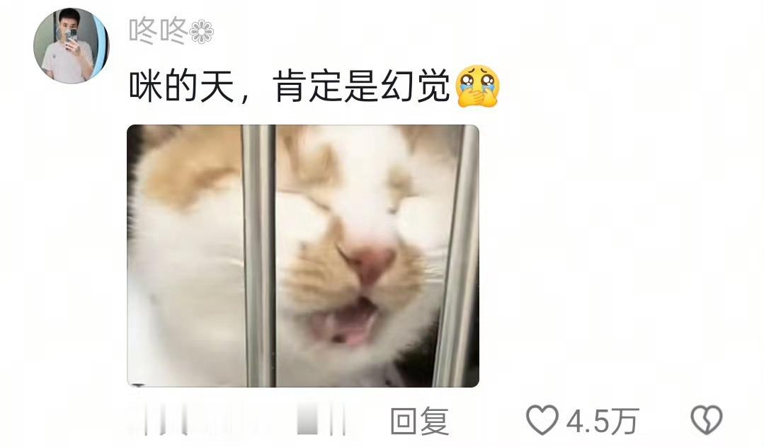 曾沛慈长文告别三公猫咪吃药已经吃出阴影了，主人一拿出药袋子，猫咪直接闭眼沉默，甚