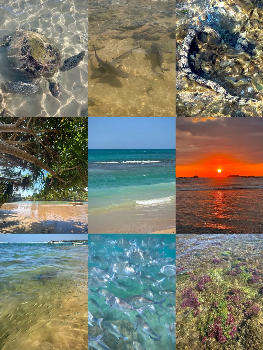 黑卡杜瓦能不能多来点同胞自己人啊！