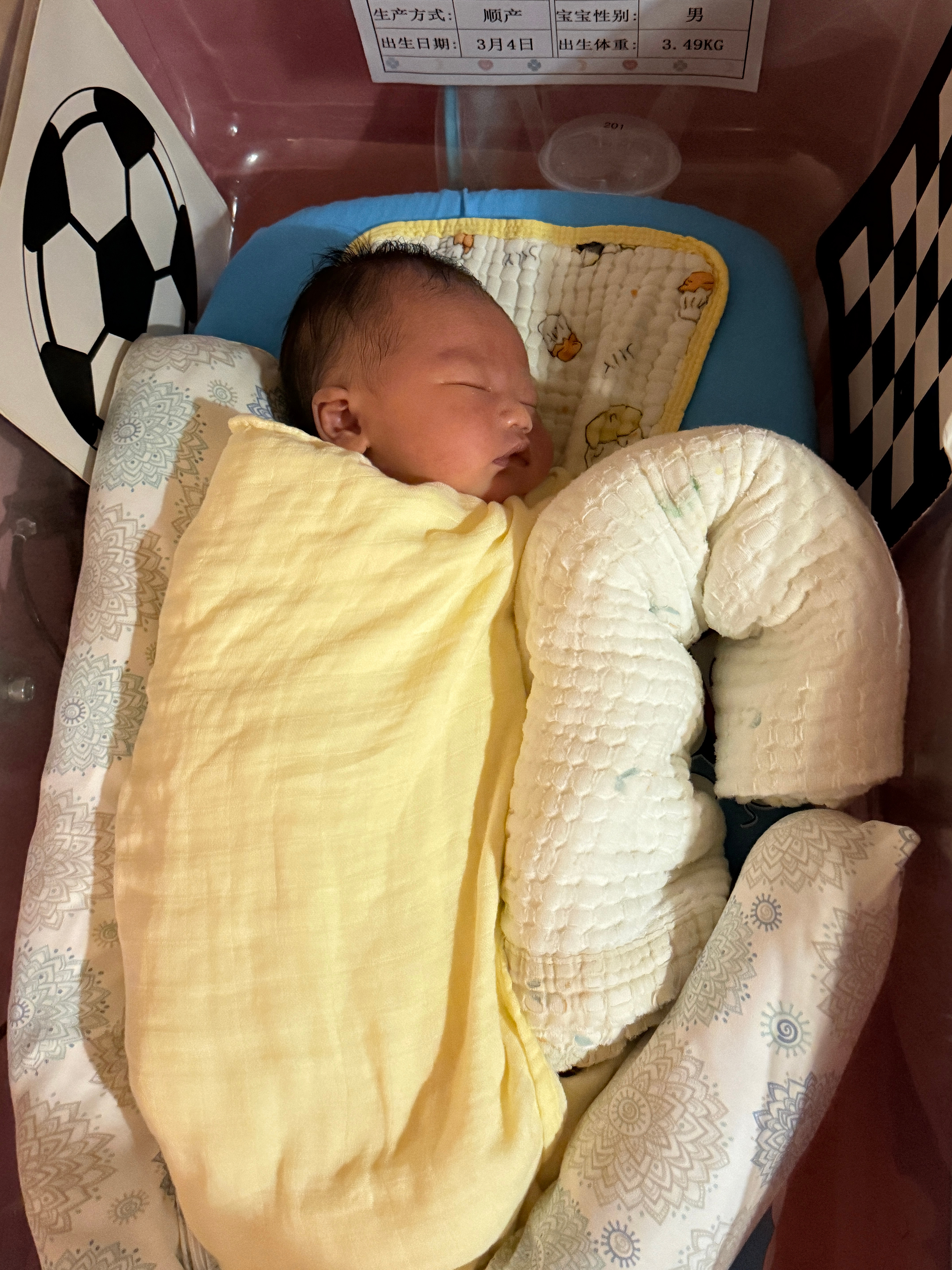 终于把小爆爆哄睡了我的工作时间到了