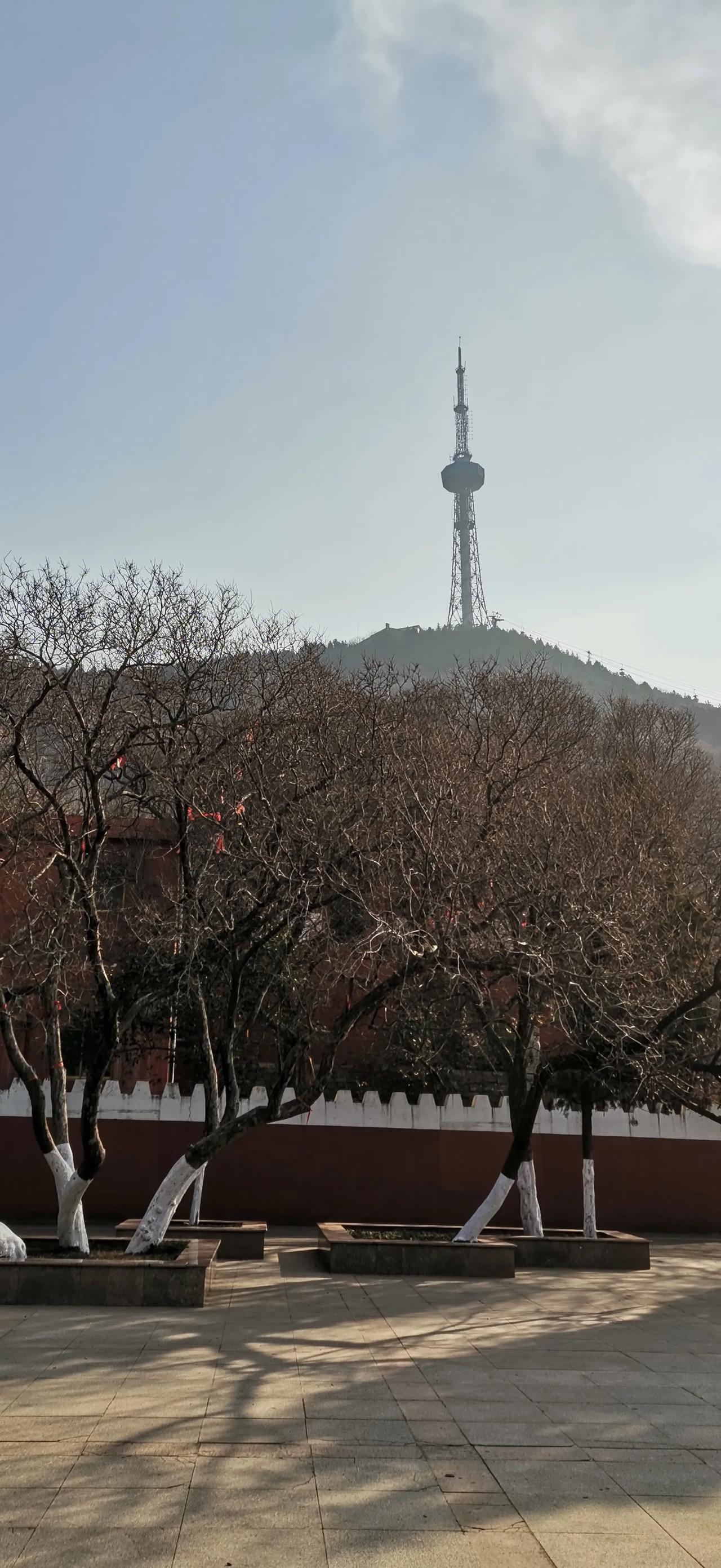 晒冬日美景