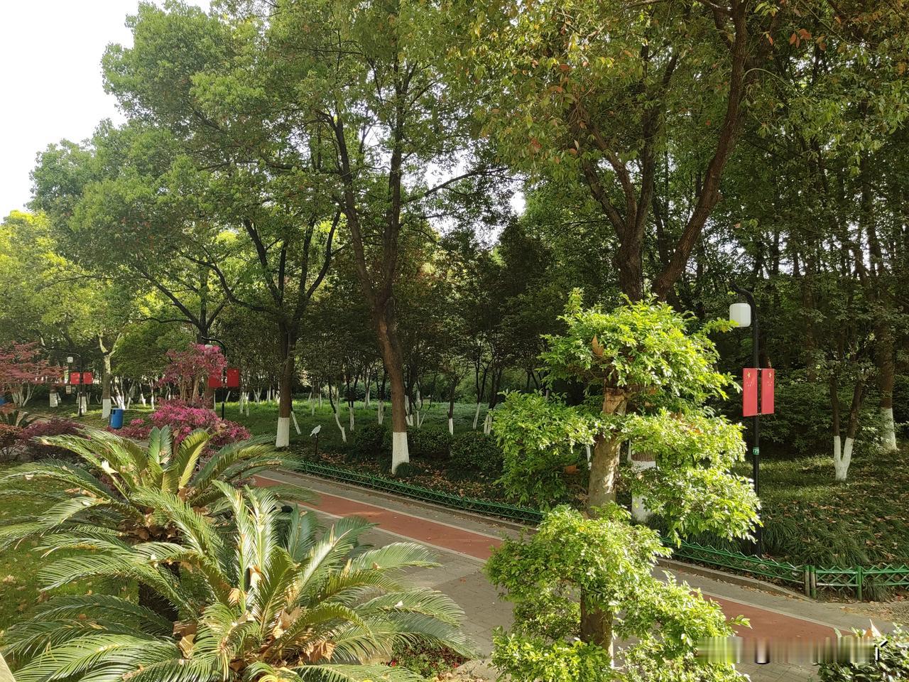 我没跟我娘生活在一起。
我要是天天跟她生活在一起，我也跟她说不到一块去。
这偶尔