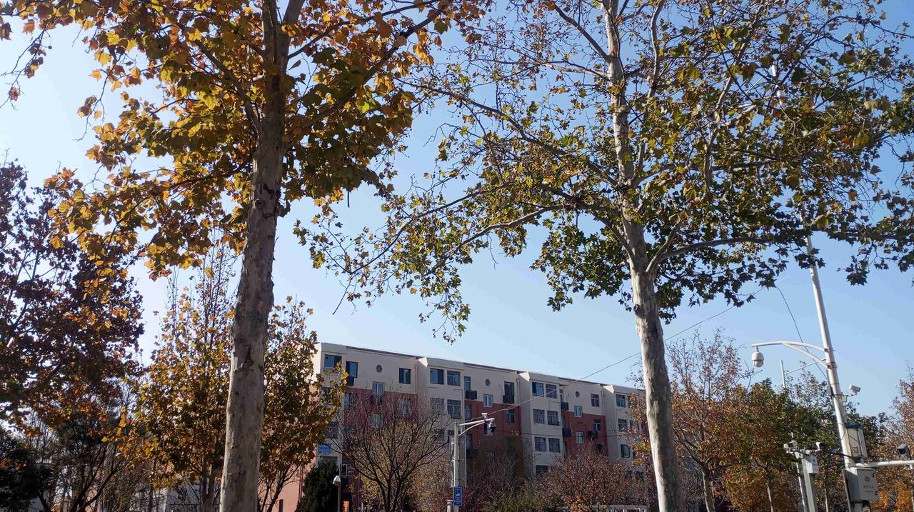 我的今日状态：😁轻松愉快
我这里的天气：☀️晴天

不容易啊不容易，可算要回暖