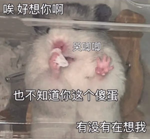 简直就是晴天霹雳啊，明天竟然要上班了(っ´;ω;`с ) ​​​