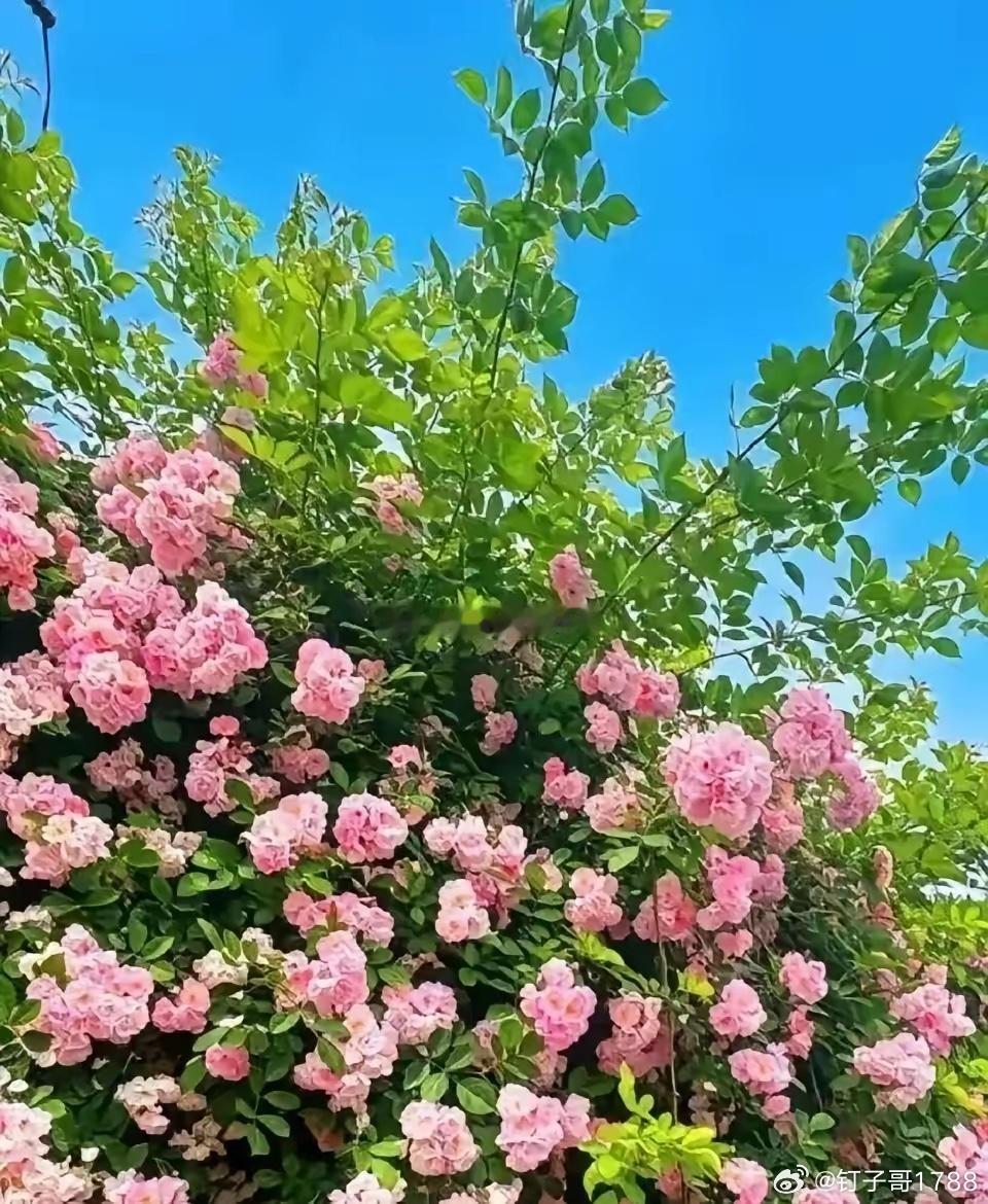 能稳定赚钱的交易者，九成时间只做四件事：1. 耐心等待等候标准点位、成型走势、入
