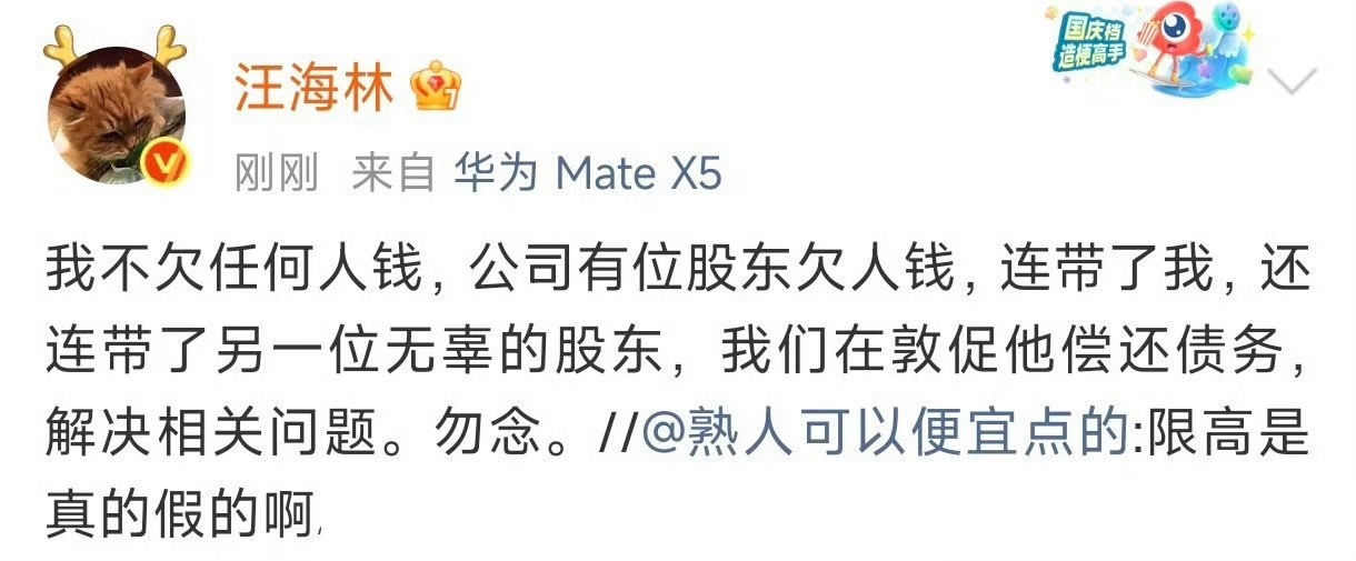 汪海林回应被限高，说不欠任何人钱，是被公司的股东连带了