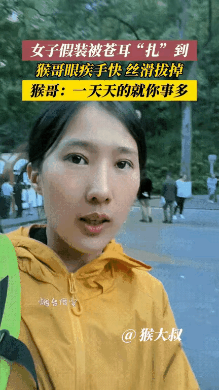 贵州景区一只野生猴，竟带着满脸嫌弃贴心帮人解围，画面又暖又好笑。
 
女子逛景区