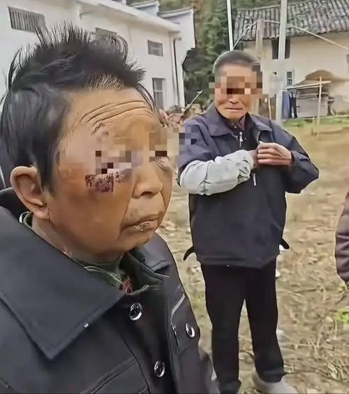 12月4日，多段反映湖南岳阳市平江县梅仙镇某村妇女遭家暴的视频在网络传播。视频显