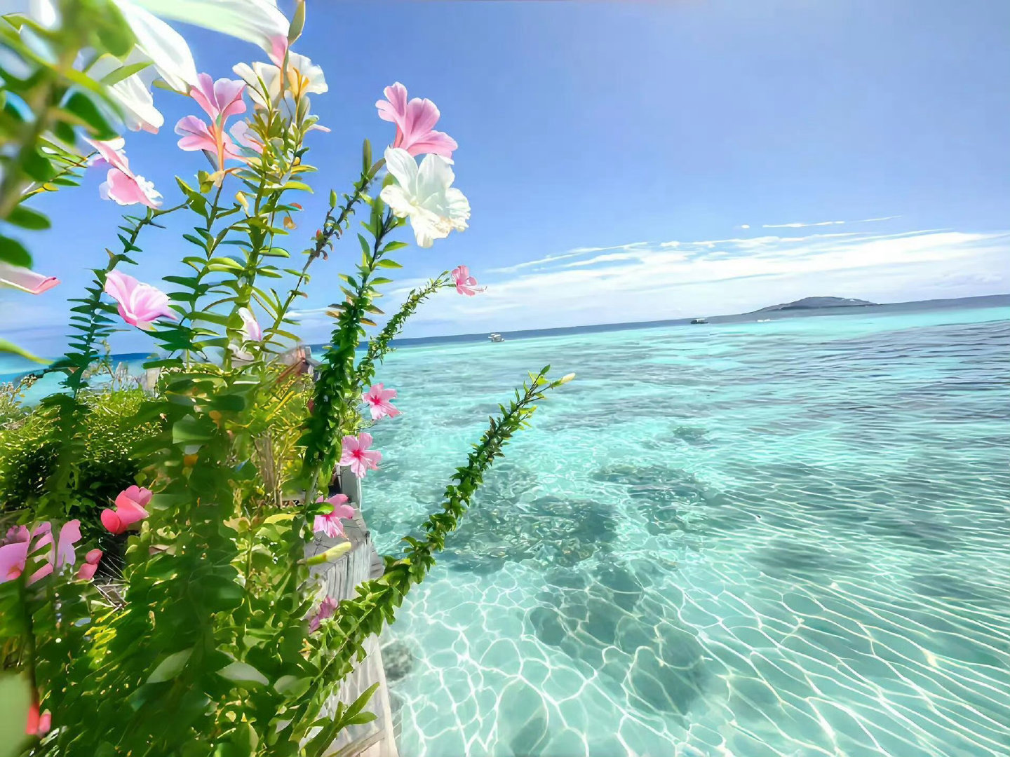 iPad 平板 电脑 壁纸 