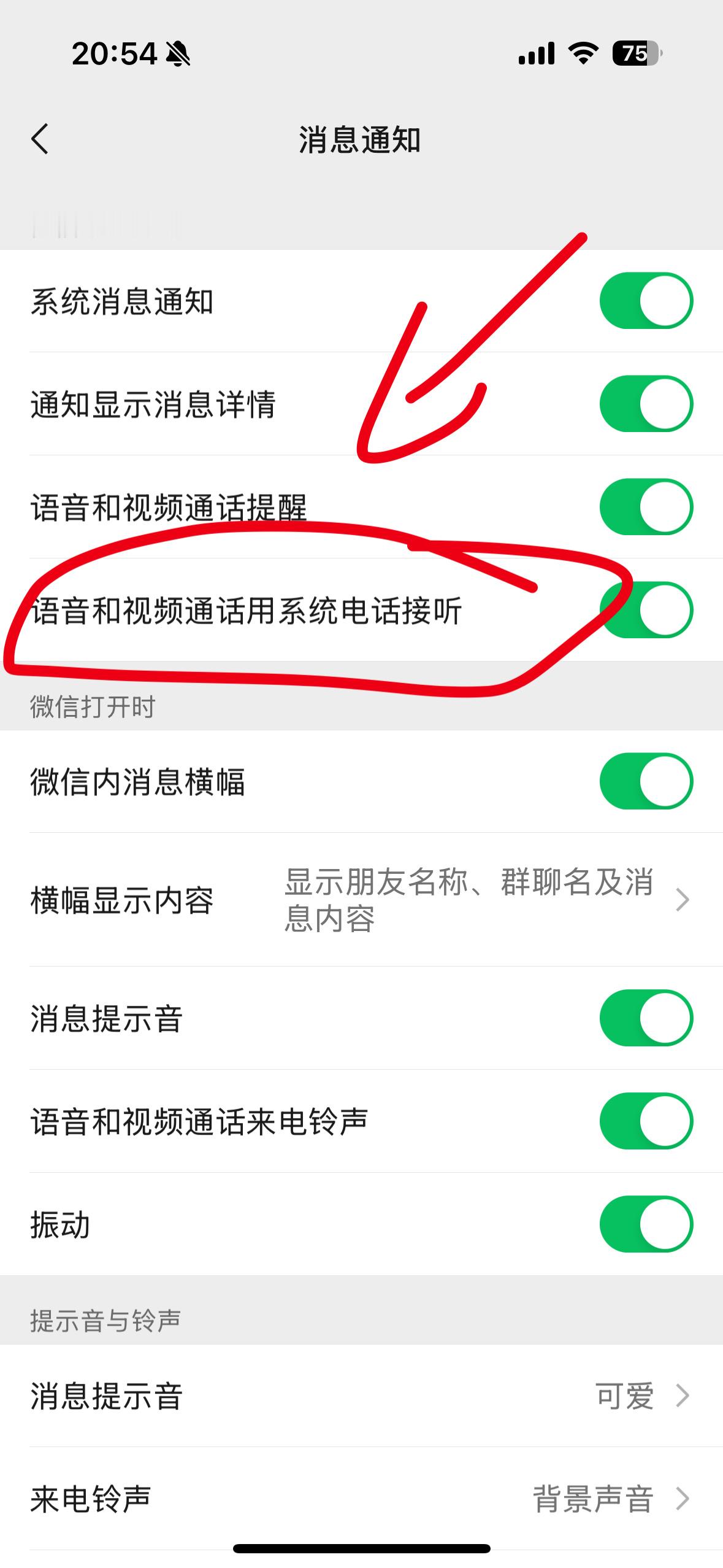 微信更新  升级 iOS 微信 8.0.56 版本后出现了 CallKit 开关