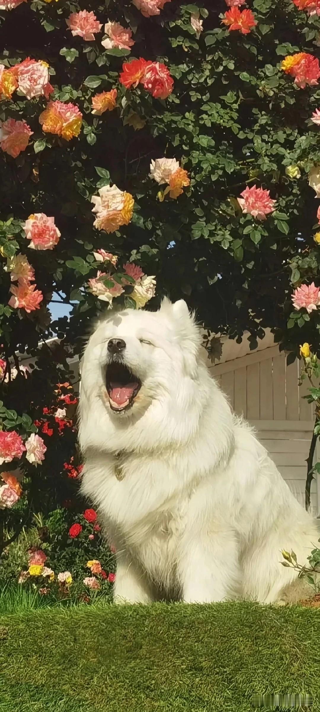 炒冷饭的人。
这后生有好一段时间没见到了！最近是又在网络上冒泡，和大家互动了吗？