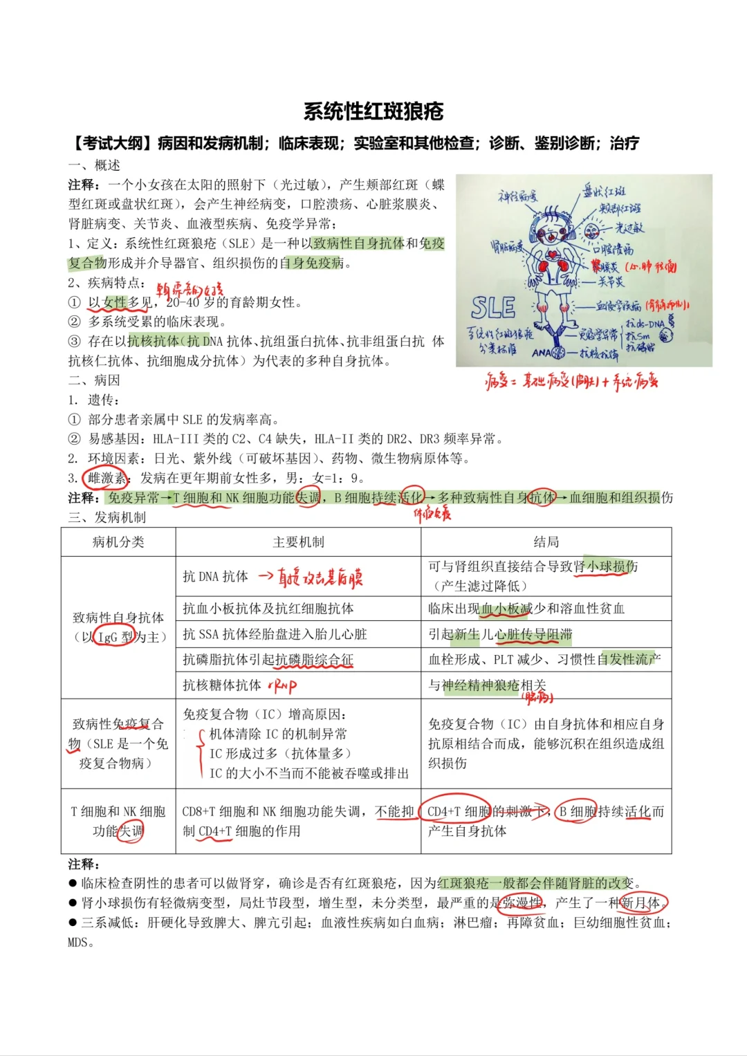 内科学-系统性红斑狼疮