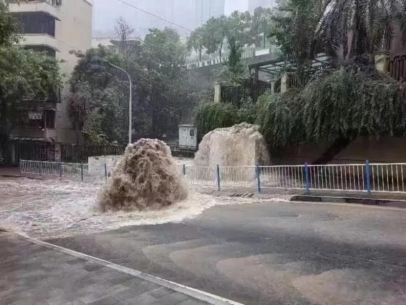重庆暴雨，胖胖上班打不到车请假了，一看北滨路从头堵到尾，600米的车半小时都过不
