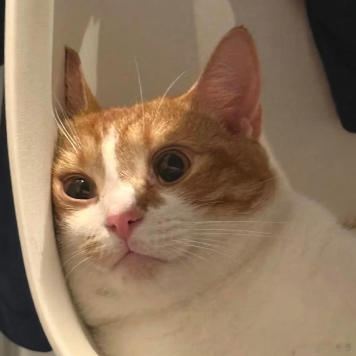 一个比较有意思的发现面对出轨，男人和女人的直观表现是不一样的女性可能下意识先恨3