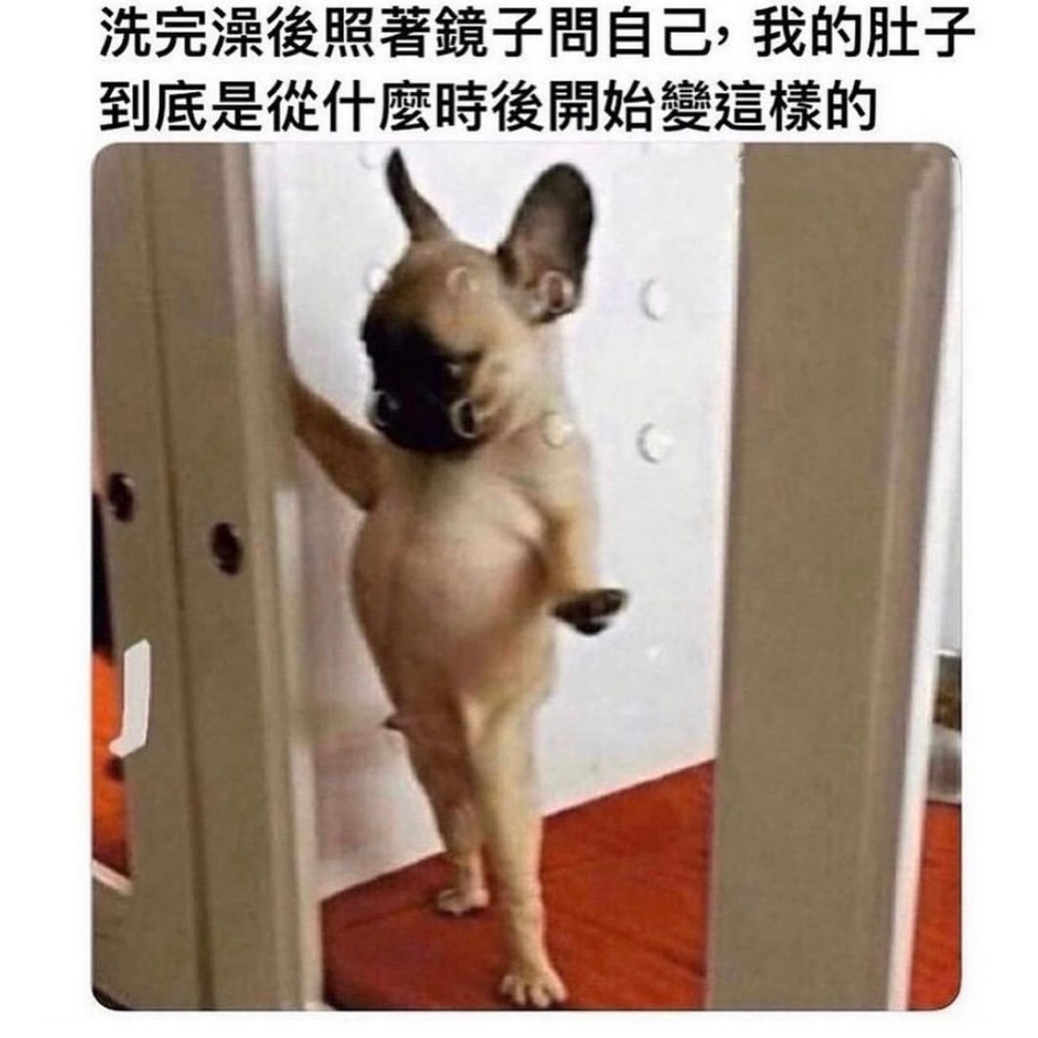 从过年开始的吧#meme# ​​​