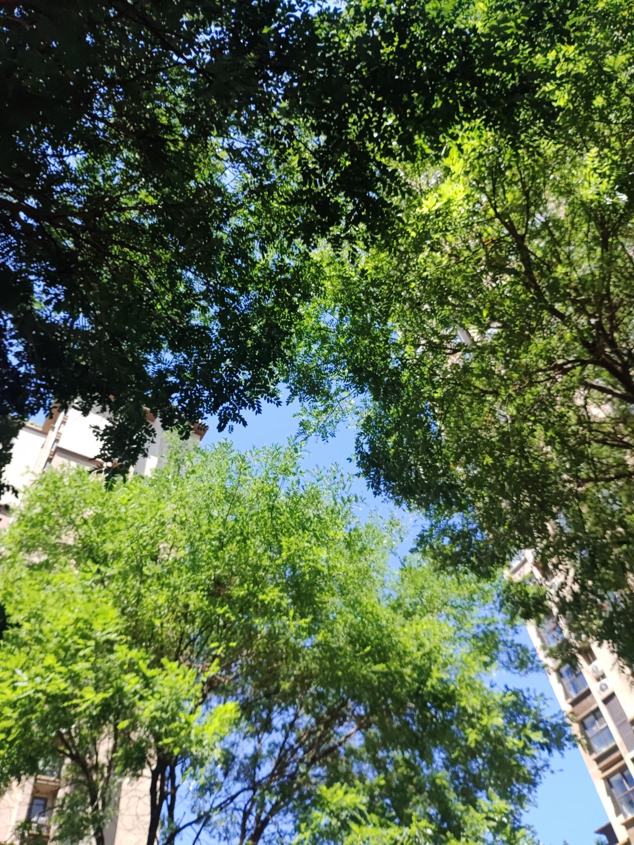 为什么生意越来越难做?
网络普及、
AI普及，
傻子也都变聪明了，
生意还能好做