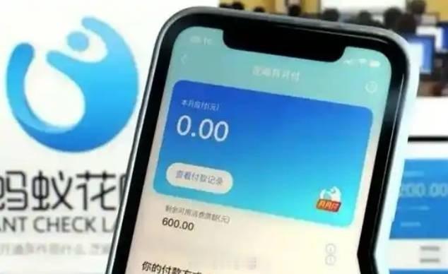 花呗白条月付产品退出支付选项登热搜，网友大赞 ​​​