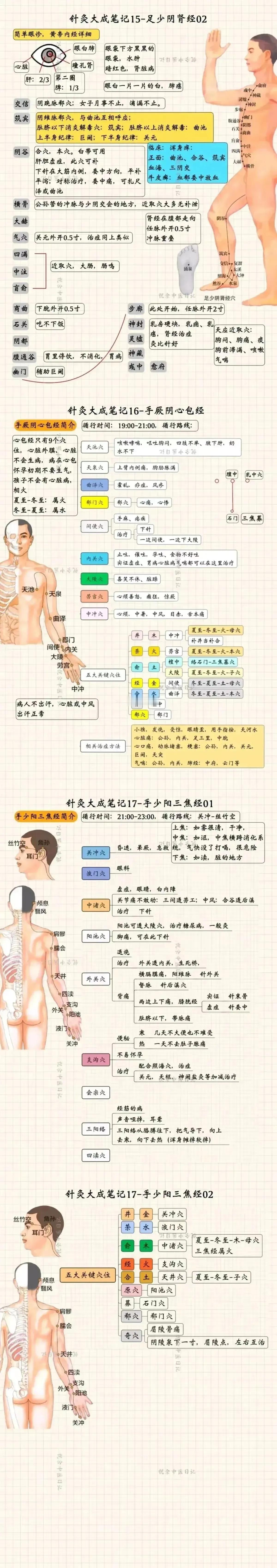 如果你对中医感兴趣，一定不能错过倪海厦先生整理的《针灸大成》十二条经络笔记！

