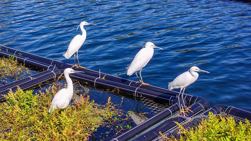 手机中的美图晒一晒