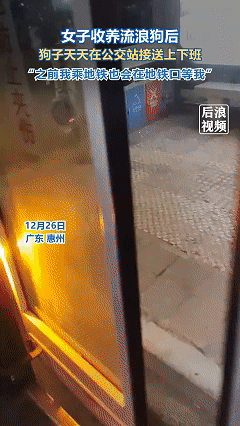 万物皆有灵！近日广东惠州，女子在家附近遇到一只流浪狗，随手喂了根火腿肠，没想到从