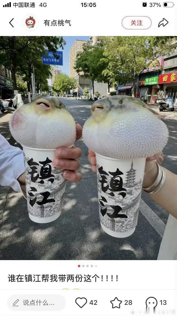 我这就问我的镇江闺蜜 