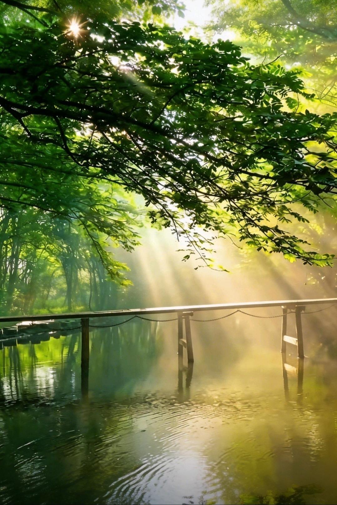 五一旅游风向变了，特种兵式走马观花慢慢被休闲深度游取代，美团数据显示，连住七天民