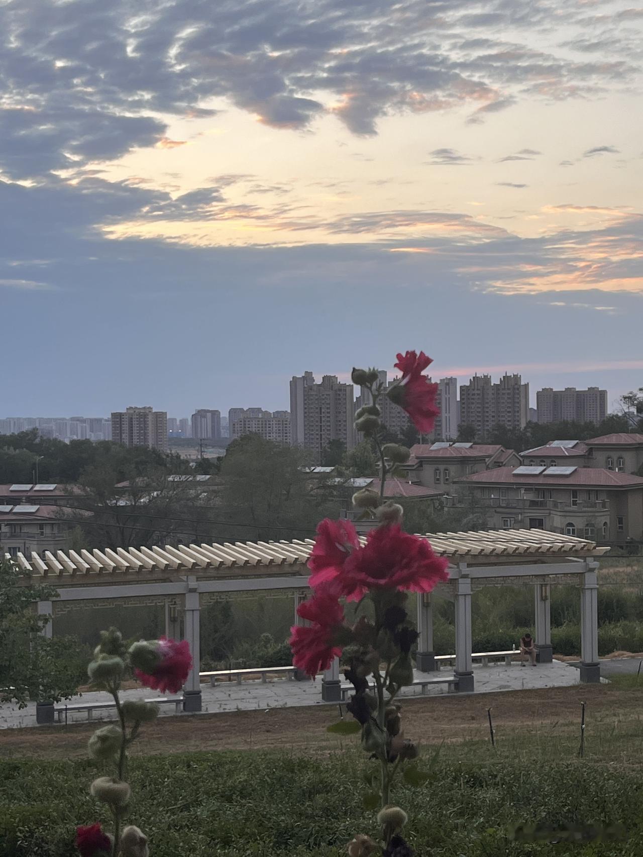 人生太匆匆
时间太无情
一转眼额间有了白发
一瞬间花开花又落
在分分秒秒中
满是